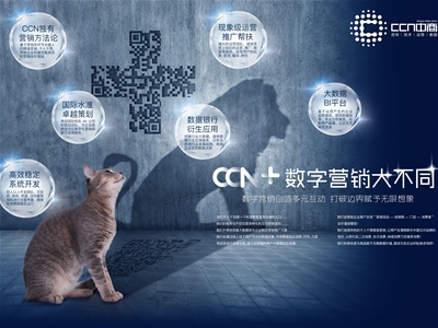 CCNһһaĸИI(y)(sh)ֻINI(y)(w)